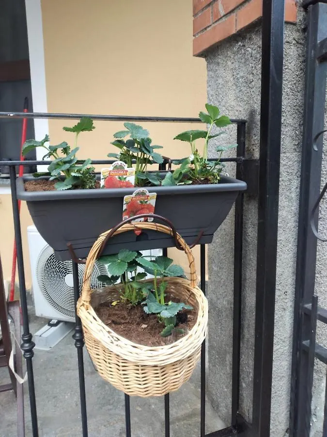 Holiday home Casavacanzesanremo Italy